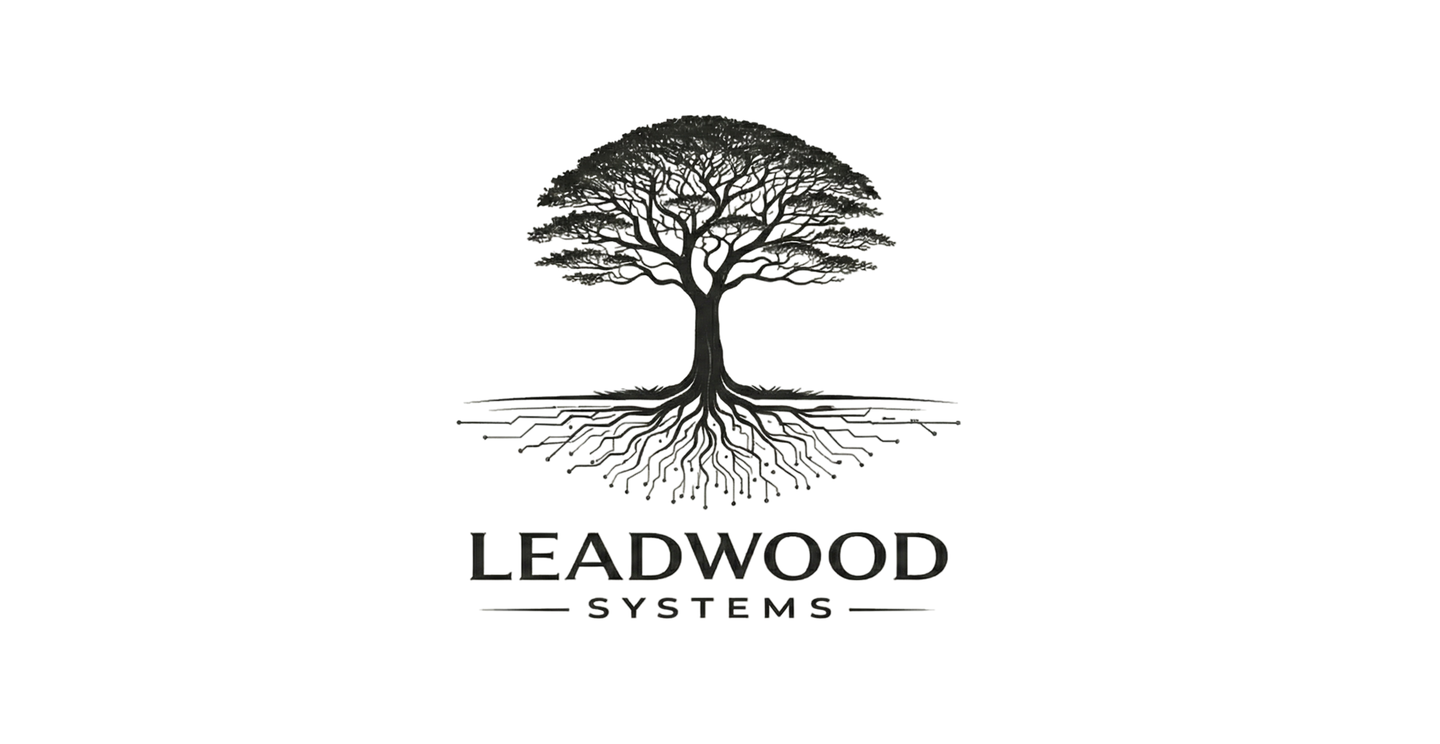 Leadwood Systems